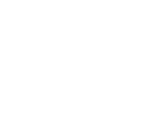 NibrasElectriqueLogoBlanc