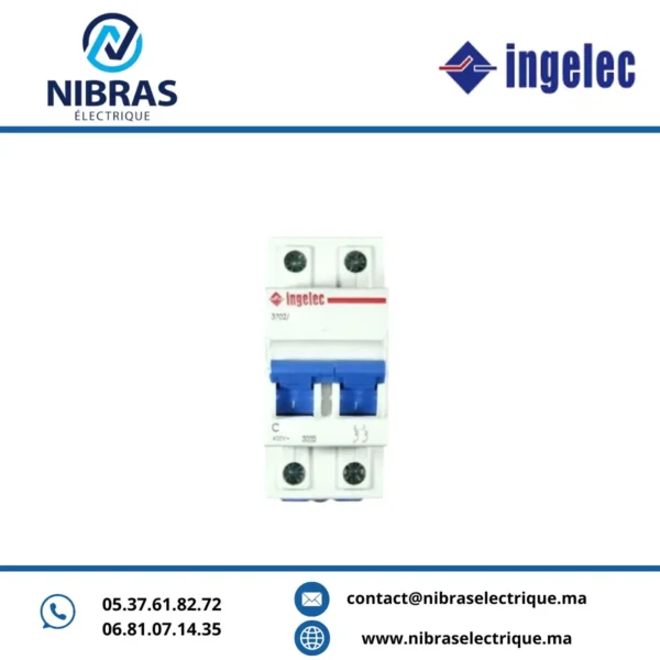 DISJ BIPOL 16A SECURIS INGELEC