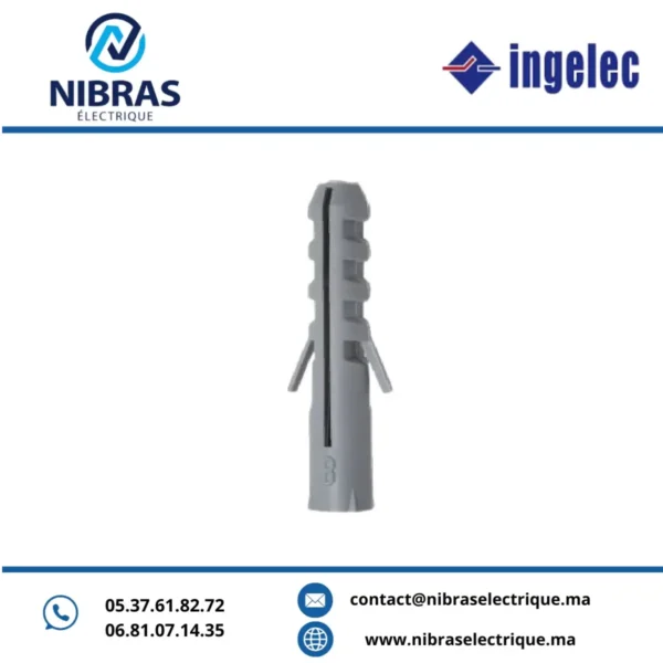 BOITE DE 100 CHEVILLES PLASTIQUES 6MM (100/PS) INGELEC