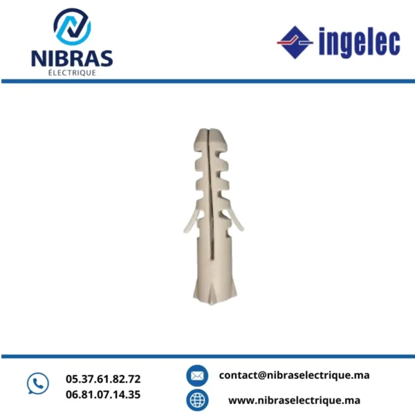 BOITE DE 50 CHEVILLES PLASTIQUES 12MM INGELEC