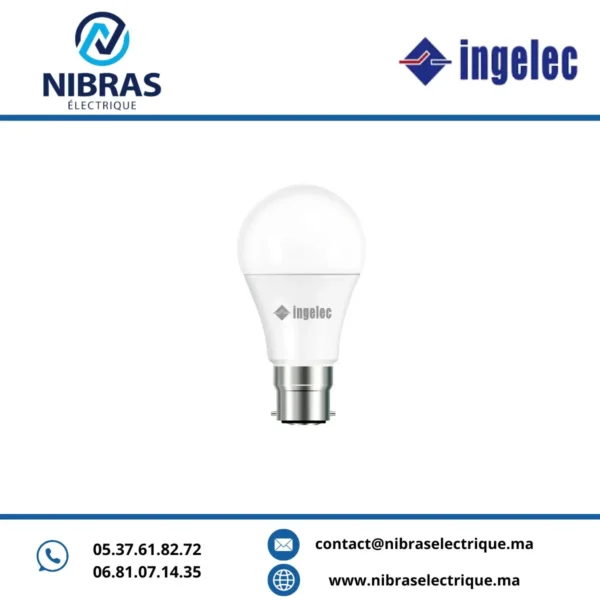 LAMPE LED A60 09W B22 - LUMIERE BLANCHE INGELEC