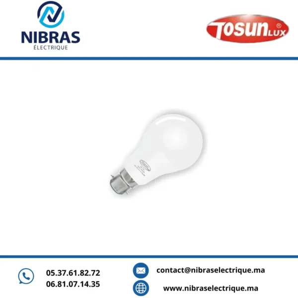 LAMPE LED A60 DC 12/24V B22 9W 6500K TOSUN