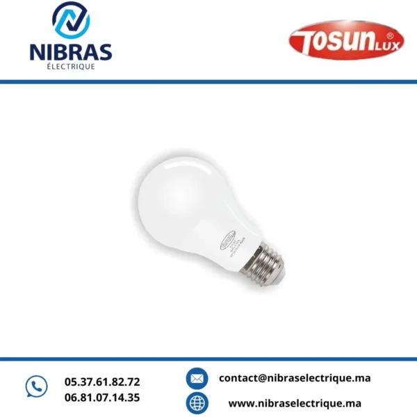 LAMPE LED A60 DC 12/24V E27 9W 6500K TOSUN