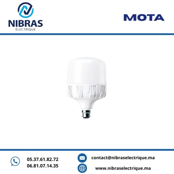 MOTA LAMPE BIG LED 36W B22 6500K