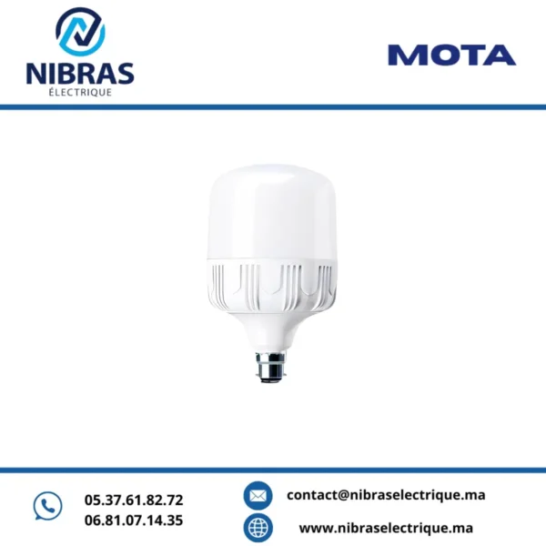 MOTA LAMPE BIG LED 36W B22 6500K V2