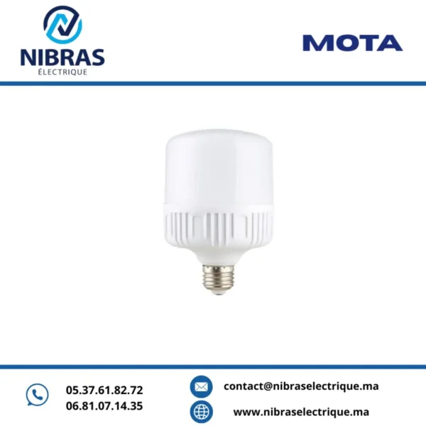 MOTA LAMPE BIG LED 36W E27 6500K