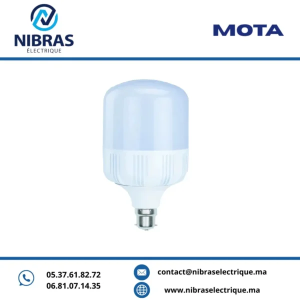 MOTA LAMPE BIG LED 50W B22 6500K