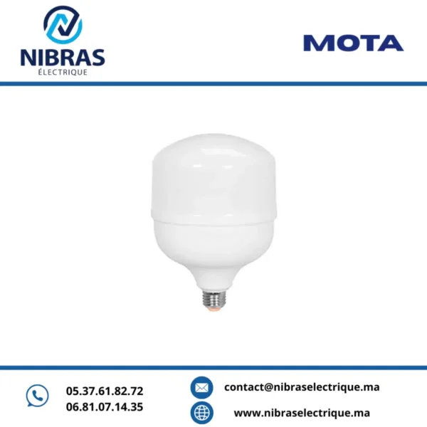 MOTA LAMPE BIG LED 50W E27 6500K