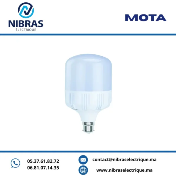 MOTA LAMPE BIG LED 65W B22 6500K V2