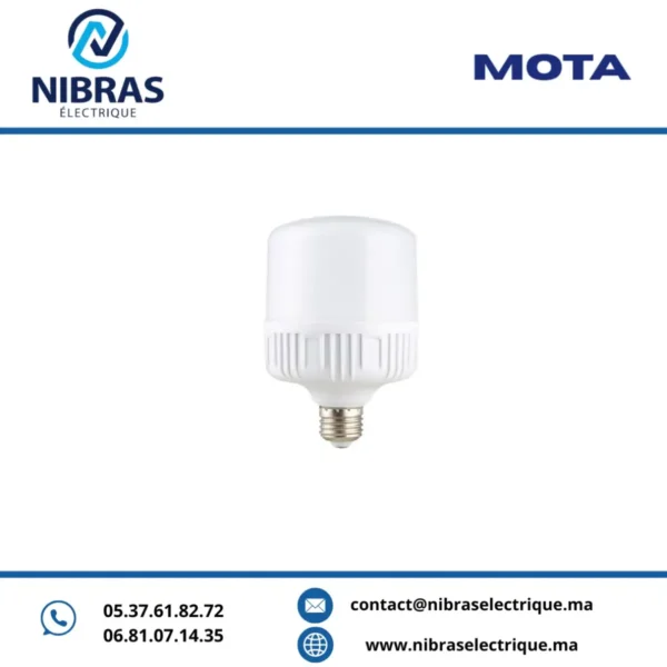 MOTA LAMPE BIG LED 65W E27 6500K V2