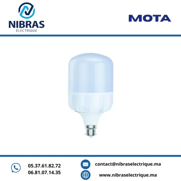 MOTA LAMPE BIG LED 80W B22 6500K V2