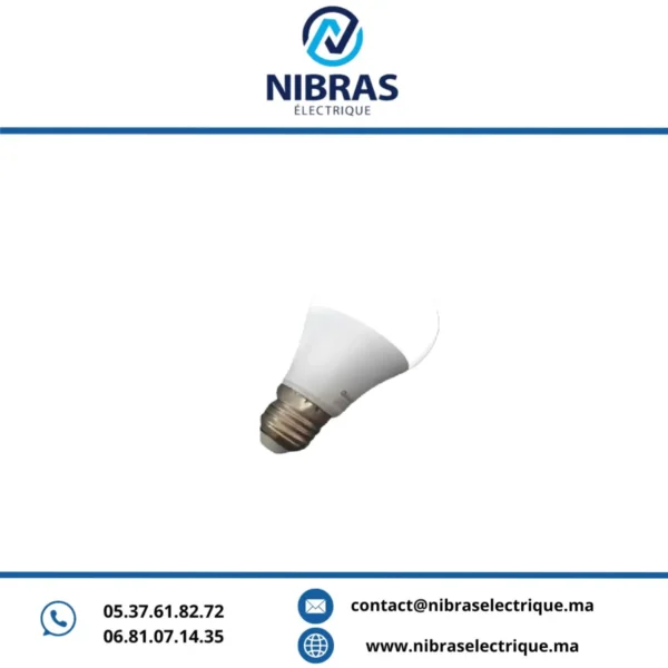 LAMPE STANDARD 9W E27 6500K