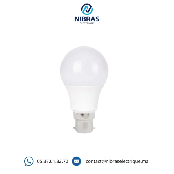 LAMPE STD A60 LED 12W B22 OSMAN 6500K