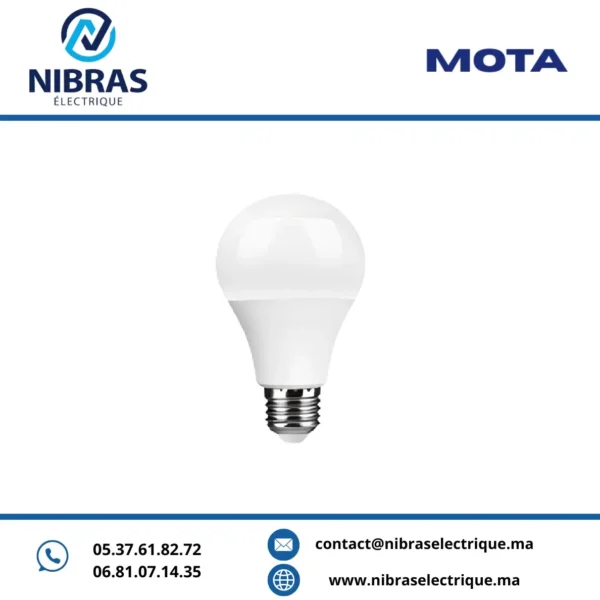 MOTA LAMPE STANDARD 12W E27 6500K