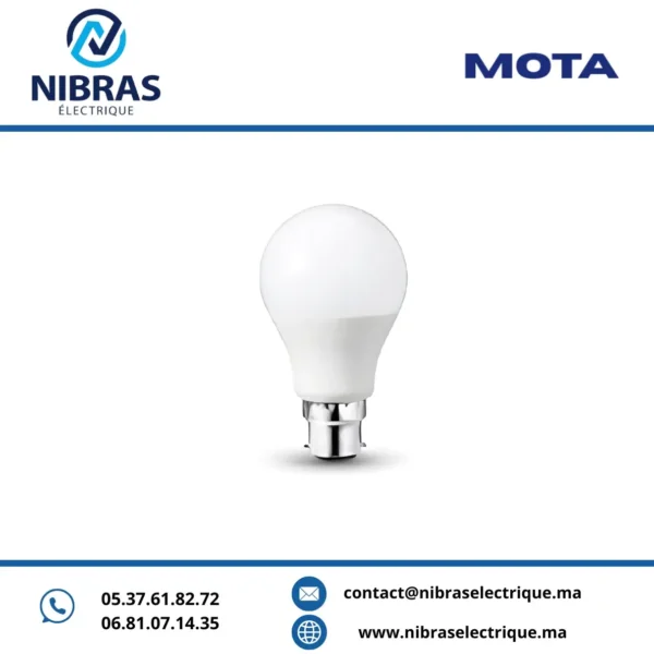 MOTA LAMPE STANDARD 12W B22 6500K V2