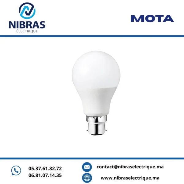 MOTA LAMPE STANDARD 9W B22 6500K
