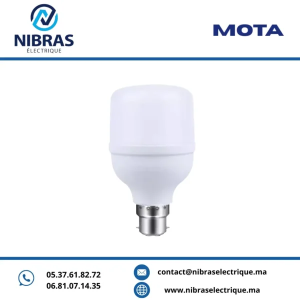 MOTA LAMPE STANDARD 15W B22 6500K