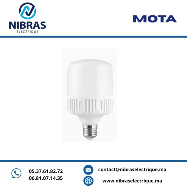 MOTA LAMPE STANDARD 15W E27 6500K