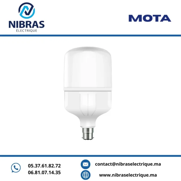 MOTA LAMPE STANDARD 18W B22 6500K