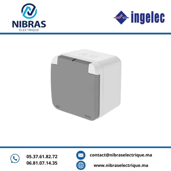 PRISE BIPOLAIRE + TERRE ETANCHE IP 55 GRIS APPARENT