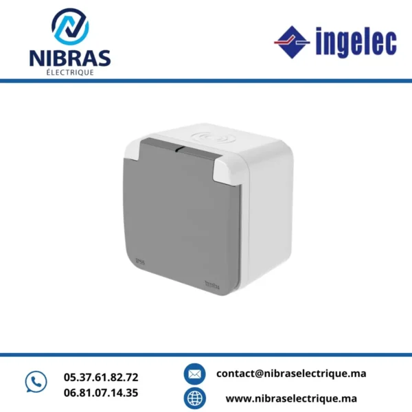 PRISE BIPOLAIRE ETANCHE IP 55 GRIS APPARENT