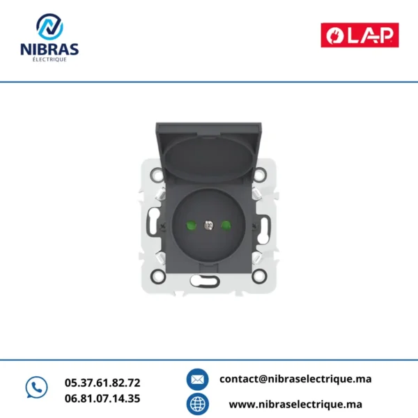 PRISE ETANCHE 2P Millenium GRIS FONCE