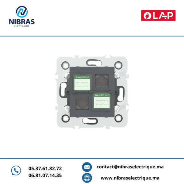 DOUBLE PRISE RJ12 CAT3 + OBTURATEURS GRIS FONCE