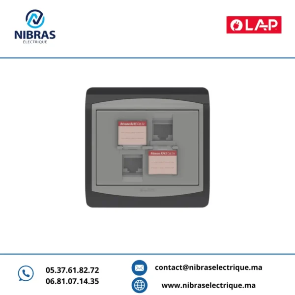 DOUBLE PRISE RJ45 CAT.5e + OBTURATEURS GRIS