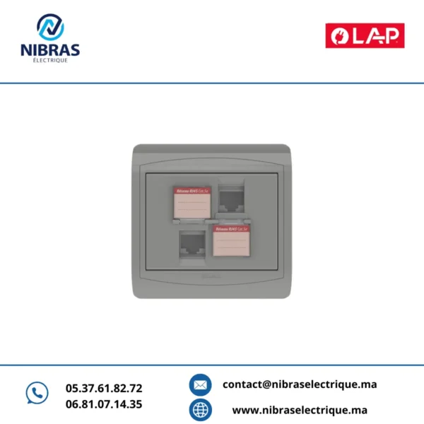 DOUBLE PRISE RJ45 CAT.5e + OBTURATEURS GRIS CLAIR