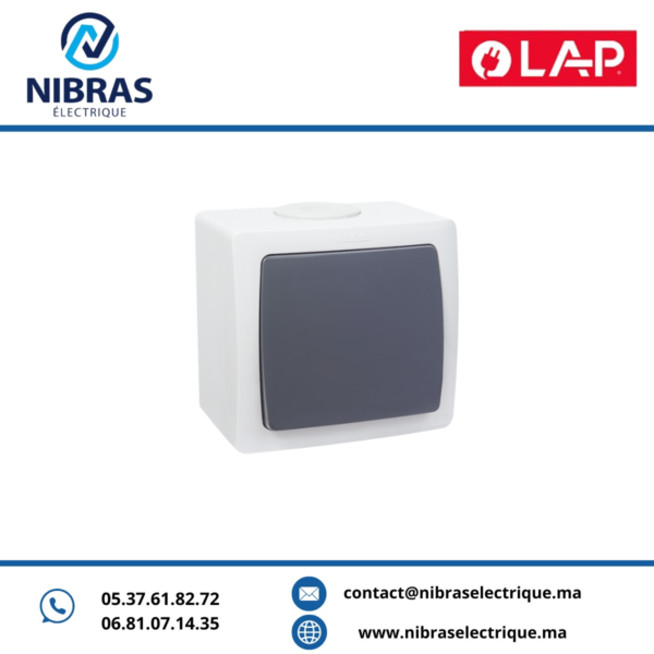 INTERRUPTEUR VA & VIENT SIMPLE AQUA(Apparent) GRIS