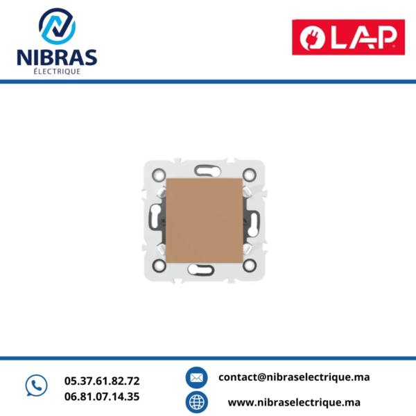 INTERRUPTEUR VA & VIENT Millenium MARRON