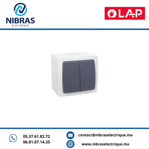 INTERRUPTEUR VA & VIENT DOUBLE AQUA(Apparent) GRIS