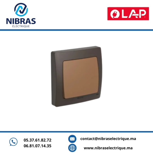 INTERRUPTEUR SIMPLE ALLUMAGE AQUA(Encastré) MARRON