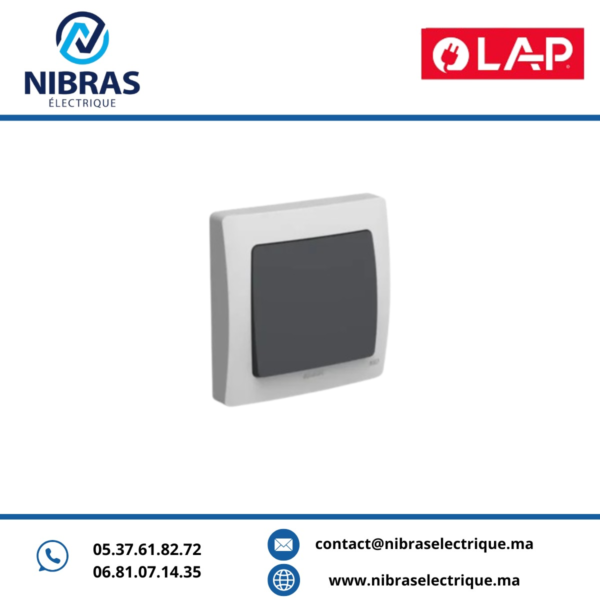 INTERRUPTEUR SIMPLE ALLUMAGE AQUA(Encastré) GRIS