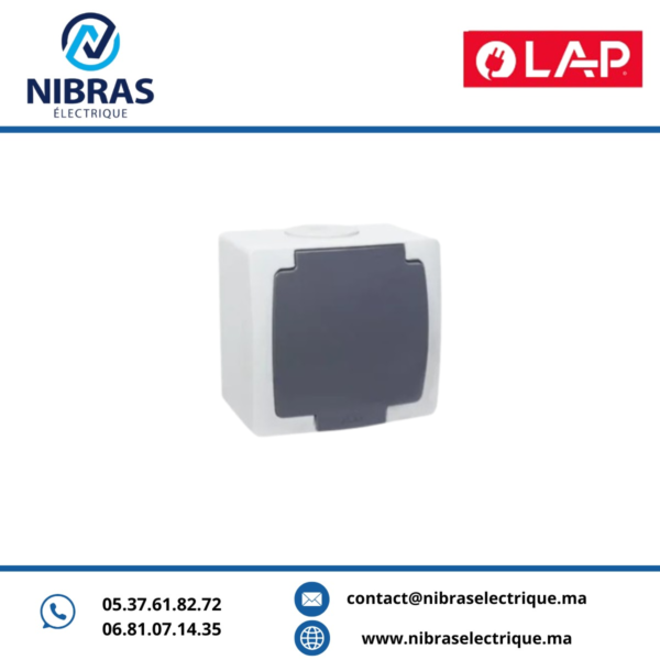 INTERRUPTEUR PERMUTATEUR GRIS