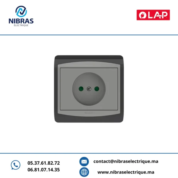 PRISE DE COURANT 2P GALAXY GRIS