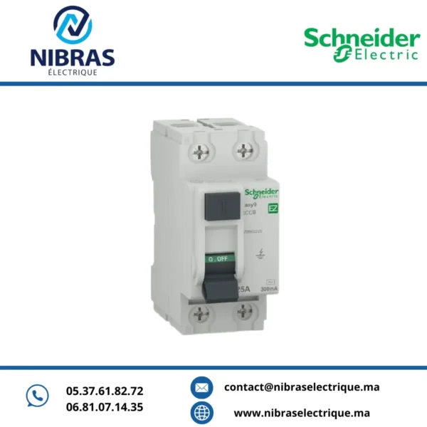 DISJONCTEUR DE COURANT RÉSIDUEL (RCCB), EASY9, 2P, 25 A, TYPE CA, 300 MA