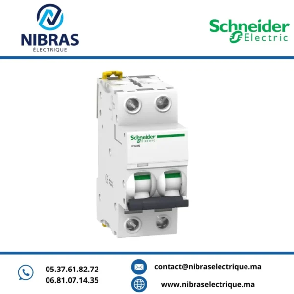 DISJONCTEUR IC60N 2P 10A A9F74210 Schneider