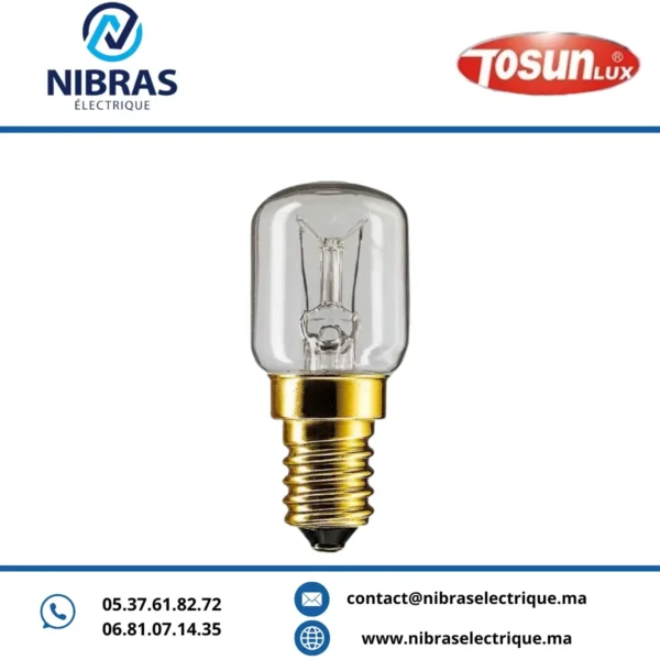 LAMPE TUBE SPECIALE FOUR T22 25W E14 220V TOSUN