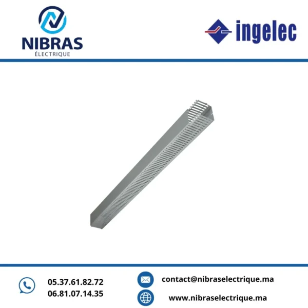 GOULOTTE PERFOREE 25X30 (60ML/CARTON) INGELEC