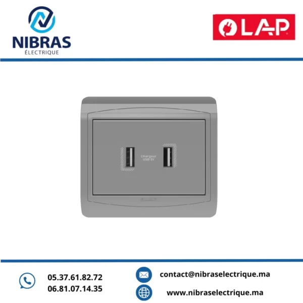 DOUBLE CHARGEUR USB GRIS CLAIR