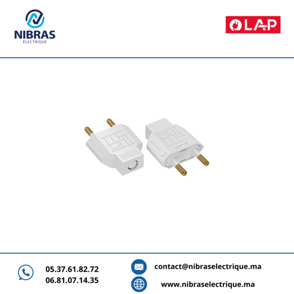 FICHE 2P MÂLE LAP BLANC