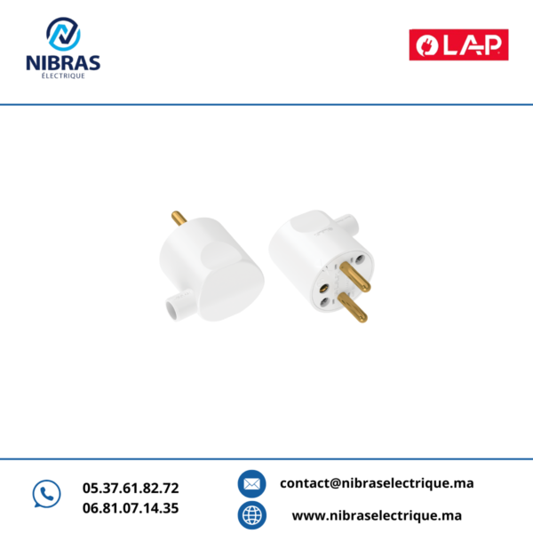 FICHE COUDÉE MÂLE LAP BLANC