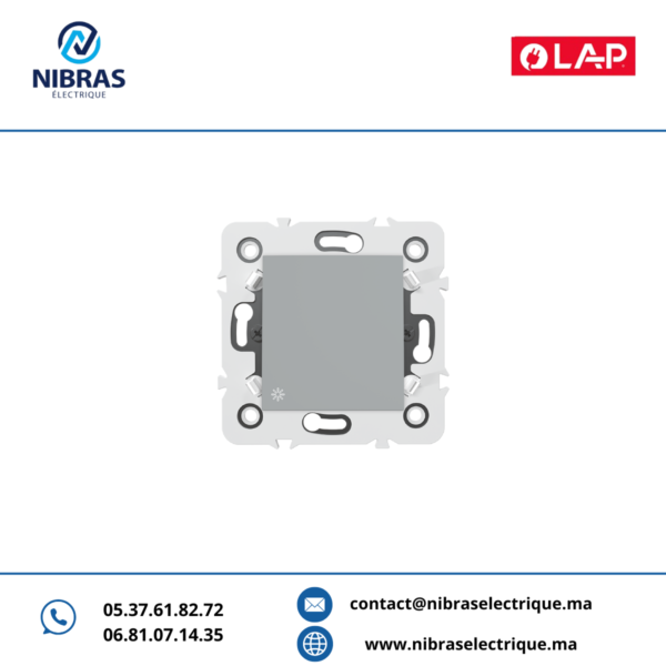 POUSSOIR A BASCULE NON LUMINEUX Millenium GRIS CLAIR