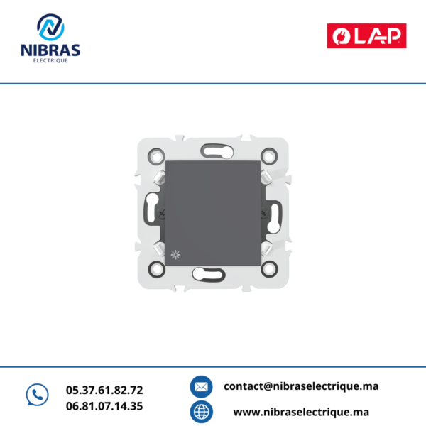 POUSSOIR A BASCULE NON LUMINEUX Millenium GRIS FONCE