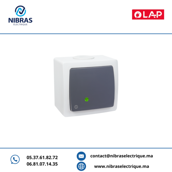 POUSSOIR À BASCULE LUMINEUX LED AQUA(Apparent) GRIS