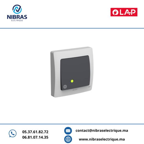 POUSSOIR À BASCULE LUMINEUX LED AQUA(Encastré) GRIS