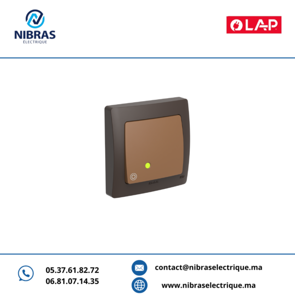 POUSSOIR À BASCULE LUMINEUXLED AQUA(Encastré) MARRON