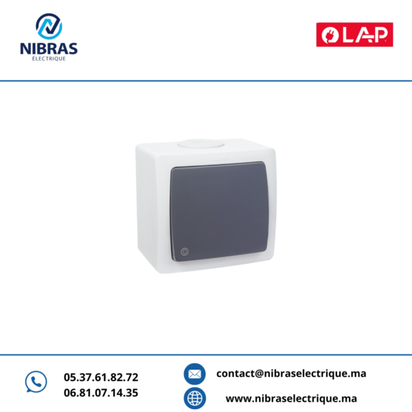 POUSSOIR À BASCULE NON LUMINEUX GRIS