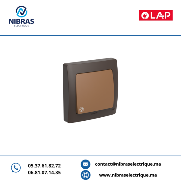 POUSSOIR À BASCULE NON LUMINEUX MARRON